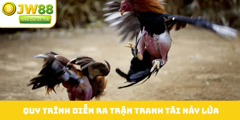 Quy trình diễn ra trận tranh tài nảy lửa